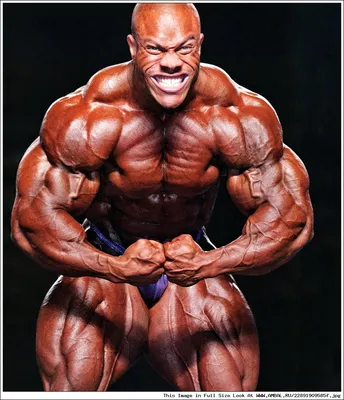 Мистер Олимпия 2011, Фил Хит (Phil Heath), бодибилдинг, результаты  соревнований, таблица, фотографии, статистика, участники, победитель,  галерея