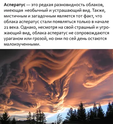 Мистические истории-Dreame