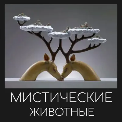 красивейшие мистические женщины Стоковое Фото - изображение насчитывающей  смотреть, комод: 19276972