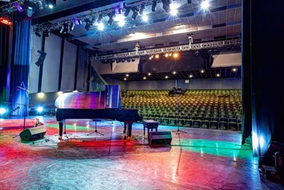 Концертный зал «Чаплин Hall» — Санкт-Петербург, Пироговская наб., д. 5/2.  Подробная информация: расписание, фото, адрес и т. д. на официальном сайте  Культура.РФ