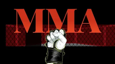 What Is Mixed Martial Arts (MMA): A Beginner's Guide | Evolve Daily