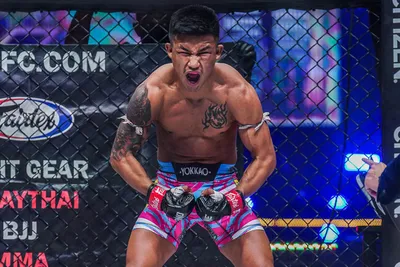 5 Reasons Why Muay Thai Is An Excellent Base For MMA - Evolve University  Blog