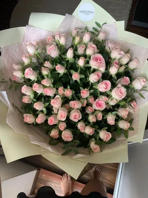 Фотографии Розы розовая цветок Много 1080x1920