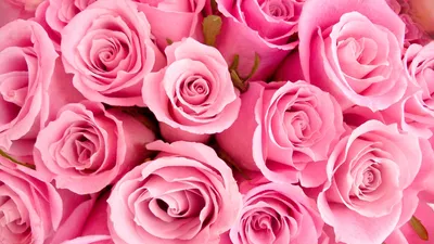На поле растёт много розовых и …» — создано в Шедевруме