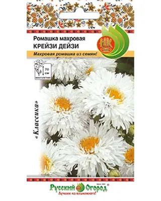 Ромашка \" Эдельвейс\" 50.00грн - Купить Ромашки на Ботанике