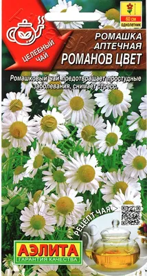 Ромашка голубая (Фелиция), Ромашка голубая (Фелиция) в интернет-магазине  недорого, Ромашка голубая (Фелиция) в Калуге Ромашки, Гайлардии, Рудбекии,  Кореопсисы Интернет магазин Садовая лавка, товары для садоводов