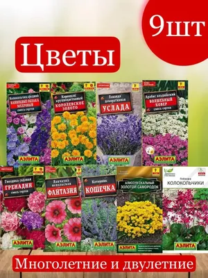 Агрофирма Аэлита Цветы многолетние низкорослые