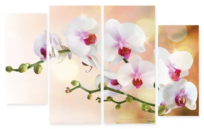 Модульная картина \"Орхидеи на воде\" купить | в Мнекартину по цене 5 795  руб. + скидка 45%