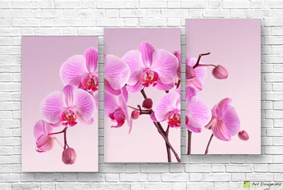Модульные картины в интерьере, Орхидея| Art-Design.MD - Печать картин и  фотообои на заказ, Кишинев, Молдова