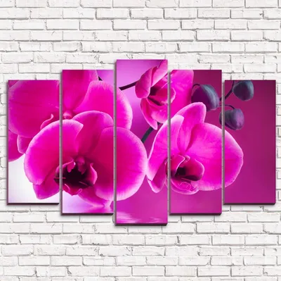 Модульная картина Орхидея розовая арт. 5-1