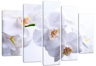 Модульная картина арт.21 \"Белые орхидеи\" купить оптом