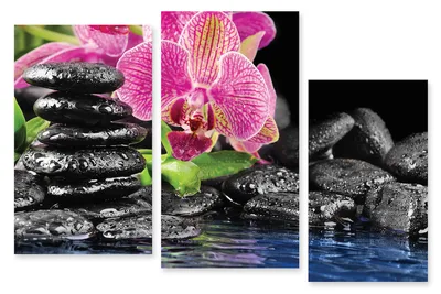 Модульная картина 38 \"Камни и орхидея\" – фото в интерьере | Купить, цена 9  220 руб.