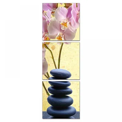 SH-17009(4) 50*50/150*50*2,5см Модульная картина вертикальная из трех  частей \"Нежно-розовая орхидея\"