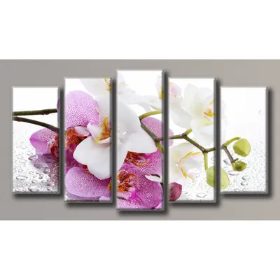 Купить Картина модульная HolstArt Орхидея на стекле 71x128 см 5 модулей  арт.HAB-038 VDoma - интернет-магазин товаров для дома