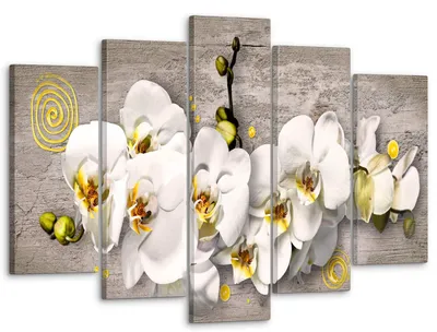 Модульная картина Модуль В дом Абстракция белая орхидея 80x140 см MK50015 -  купить в Москве, цены на Мегамаркет