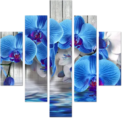 Модульная картина Синие орхидеи над водой: - Арт. 500274 | Купить в  интернет-магазине Уютная стена