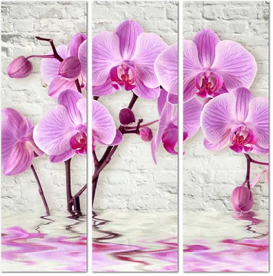 Модульная картина 3D Розовая орхидея на фоне белой кирпичной стены: - Арт.  020250 | Купить в интернет-магазине Уютная стена