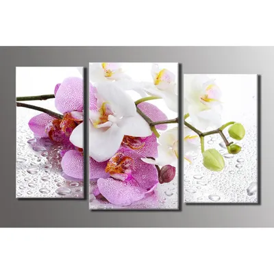 Купить Картина модульная HolstArt Орхидея на стекле 54x89см 3 модуля  арт.HAT-016 VDoma - интернет-магазин товаров для дома