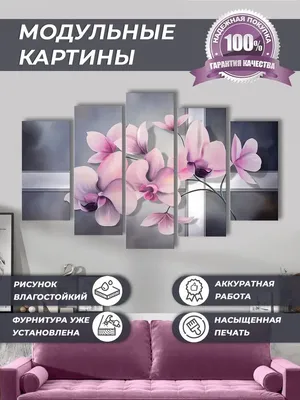 Modul007.ru Модульная картина на стену 140*80 Красивая орхидея