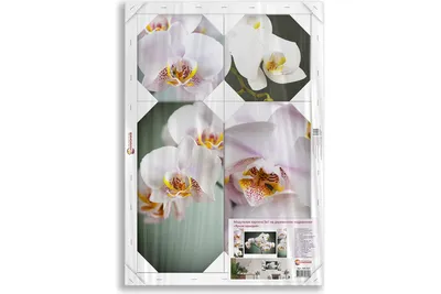 Модульная печатная картина Добавь эмоций в свою жизнь на деревянном  подрамнике Яркая орхидея 5в1 МК - 025 - выгодная цена, отзывы,  характеристики, фото - купить в Москве и РФ