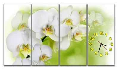 Модульная Картина Цветы Орхидея Art-71_3А — Купить на BIGL.UA ᐉ Удобная  Доставка (1503469611)
