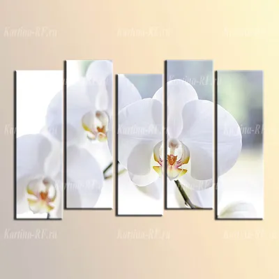 Купить модульную картину Орхидеи на зеленом фоне в интернет магазине от  2890 рублей!