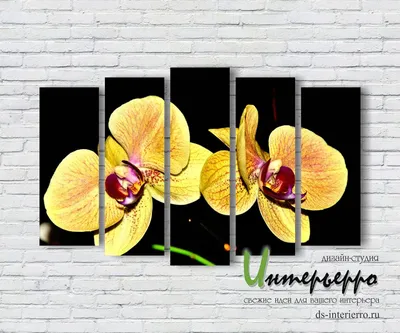 Модульная картина \"Орхидея, фаленопсис, желтый\" для интерьера на ЛДСП  плите, 120х180 см. — купить в интернет-магазине по низкой цене на Яндекс  Маркете