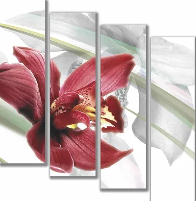 Купить МОДУЛЬНУЮ КАРТИНУ Белая орхидея в полиптихе в интернет магазине  недорого!