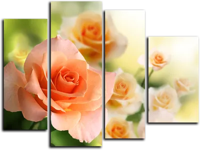 Модульная картина\"Персиковые розы\"