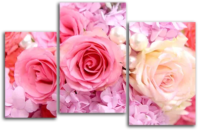 Модульная картина \"Красивые розы\"