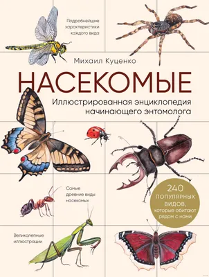 Откуда моль в домах и квартирах - ее виды и как избавиться - Служба СЭС -  БашДез эксперт