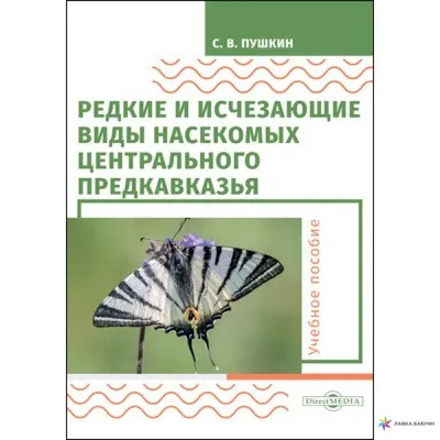 Как выглядит моль на фото, виды и отличия моли: платяная, пищевая, домашняя  и другие