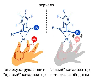 Разливные масляные духи Molecules Escentric 02 женские мужские,Парфм  Молекула 02 Эксцентрик,Molecule | AliExpress