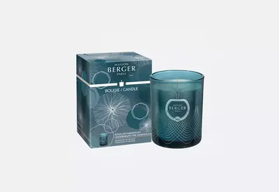 Туалетная вода Черная молекула 100 мл Black molecule Neo Parfum 13256334  купить за 386 ₽ в интернет-магазине Wildberries