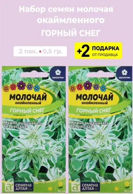 🌱 Молочай многоцветковый по цене от 1063 руб: саженцы, рассада, крупномеры  - купить в Москве с доставкой - интернет-магазин Все Сорта