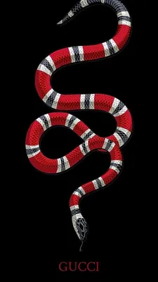 Удивительное изображение молочной змеи