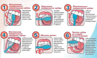 Коренные зубы у детей: схема роста, возможные осложнения - Underson Clinic