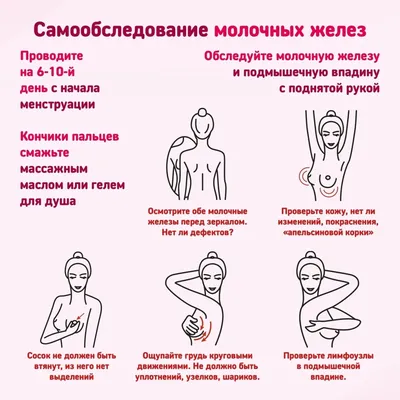 2 — 8 октября Неделя популяризации борьбы с раком молочной железы (в честь  месяца борьбы с раком молочной железы). — Тольяттинская городская больница  #1
