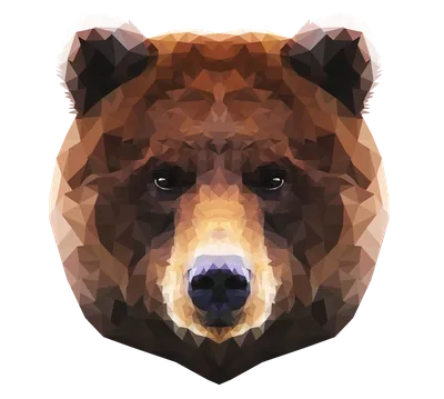 Удивительное фото Морда медведя - бесплатный jpg