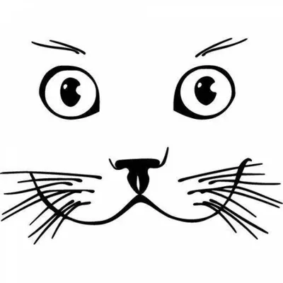 Фото Мордочка кошки на лице – скачать бесплатно в формате jpg