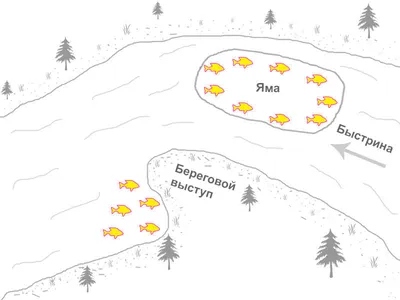 Ловля на мормышку с насадкой. Снасти, выбор места, тактика ловли | Аккумы  Инфо