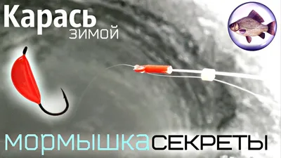 Ловля плотвы зимой на мормышку с мотылем и безмотылку и поплавок. Выбор  снастей для зимней рыбалки на плотву