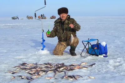 Самые уловистые приманки на окуня по первому льду | Аккумы Инфо
