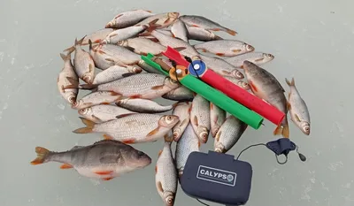 Мормышка пластиковая Ромбик на окуня плотву купить в интернете - На крючке:  интернет-магазин рыболовных товаров