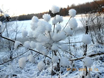 Карпаты - отдых зимой