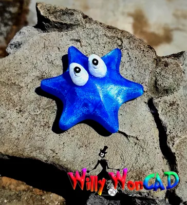 Морская звезда синяя - Linckia leavigata (L)
