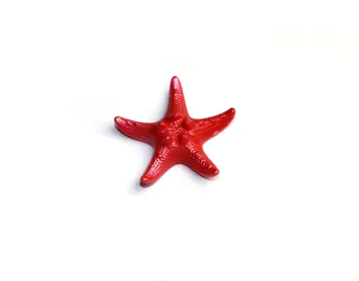 Фиолетовые морские звёзды/морская звезда, побережье Вашингтона Стоковое  Фото - изображение насчитывающей опасность, вне: 69876744