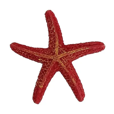 Spoo-Design | Маленькая морская звезда с кристаллами опала, серьги-кольца |  925 серебряные серьги