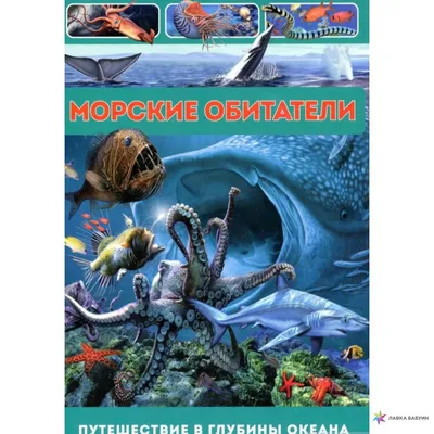 Набор Морские обитатели, 8 шт., пакет | Интернет-магазин детских игрушек  KidLand.ru