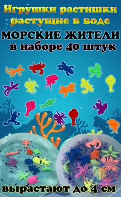 Морские обитатели (130 обоев) » Обои для рабочего стола, красивые картинки.  Ежедневно